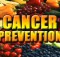 Prevenzione tumore stop cancro prevenzione con gli antiossidanti e la frutta stop carne